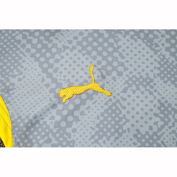 Camiseta de Entrenamiento Borussia Dortmund Sin Mangas 25-26 Gris